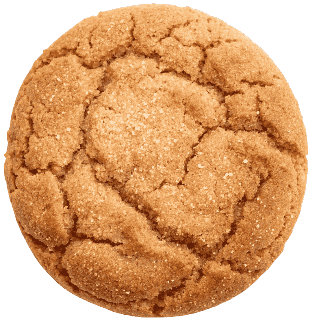 Galleta artesanal Gallepa de Canela — Gallepas